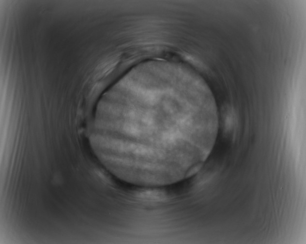X0000085300619200703302002
