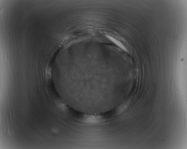 X0000085300621200703302002
