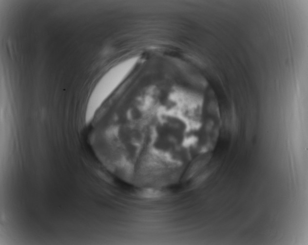 X0000085300623200703302002
