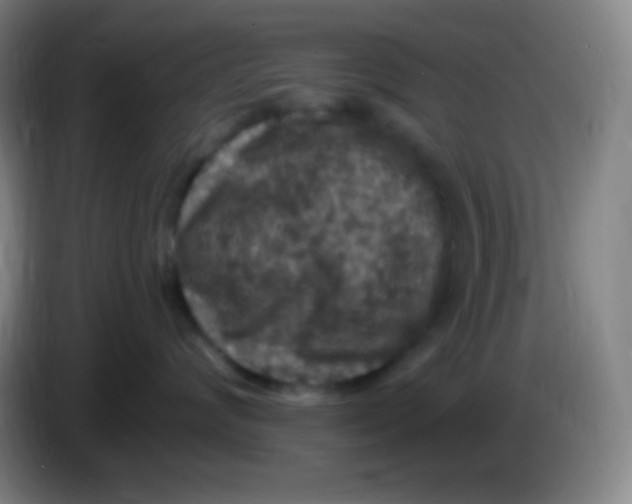 X0000085300624200703302002