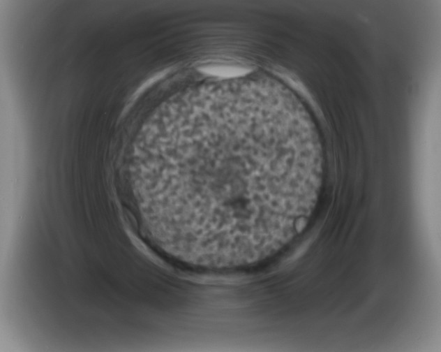 X0000085300625200703302001