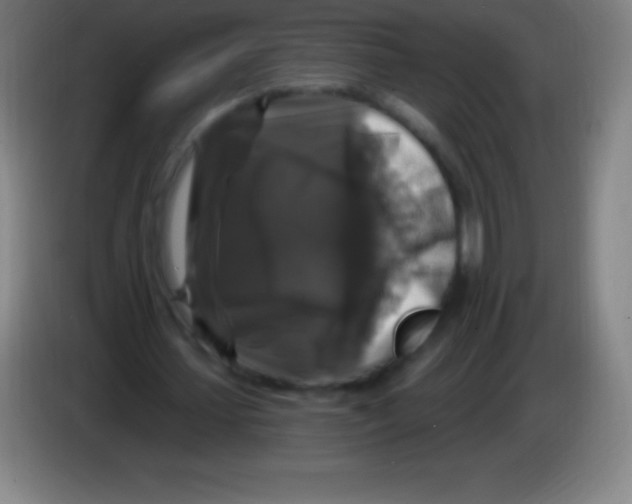 X0000085300627200703302001