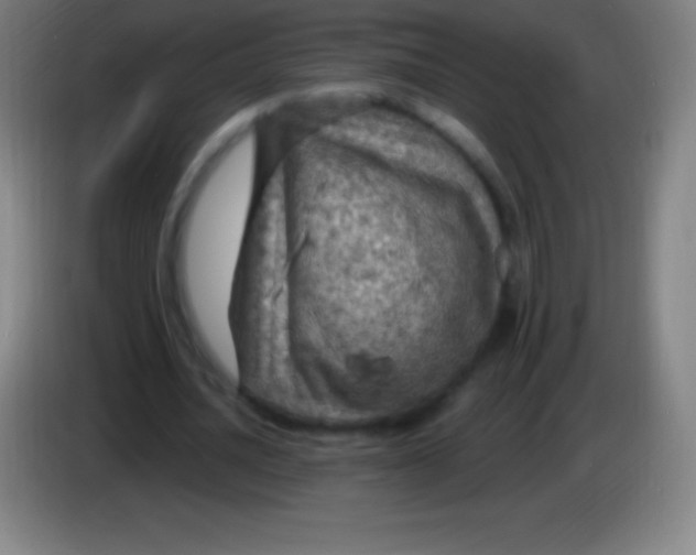X0000085300628200703302001