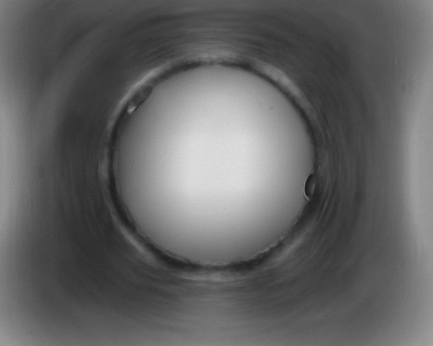 X0000085300629200703302001