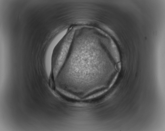 X0000085300633200703302001