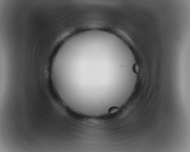 X0000085300635200703302001