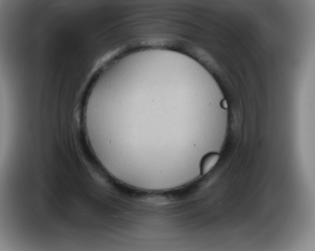 X0000085300636200703302001