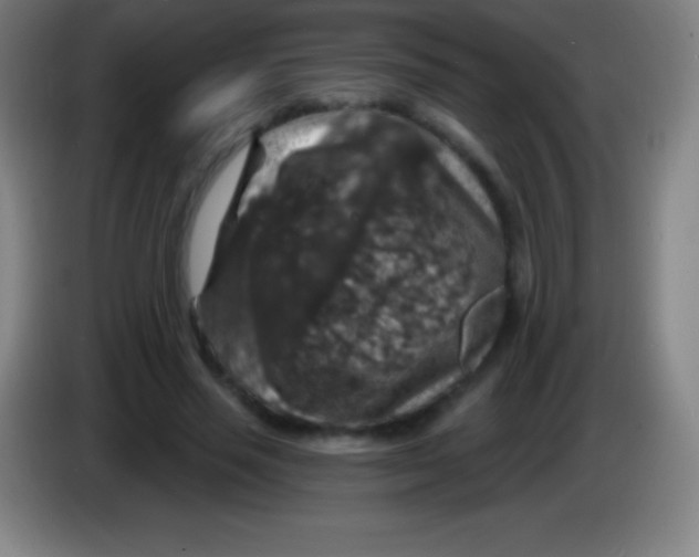 X0000085300637200703302001