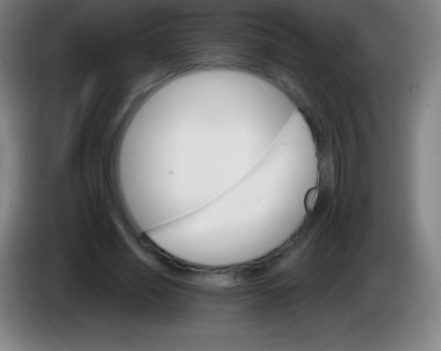 X0000085300638200703302001