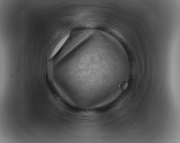 X0000085300639200703302001
