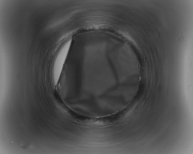 X0000085300640200703302001