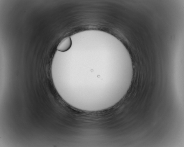 X0000085300643200703302001