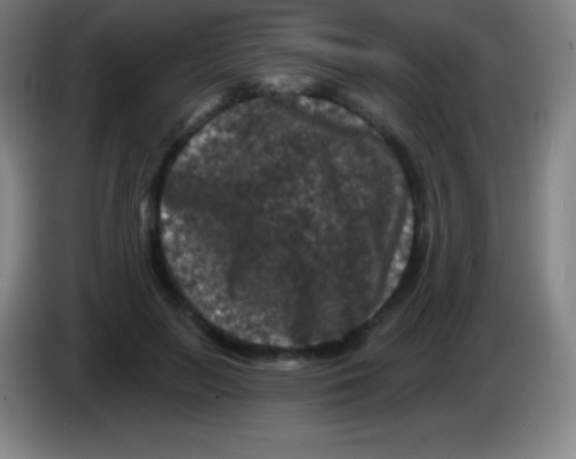 X0000085300647200703302001