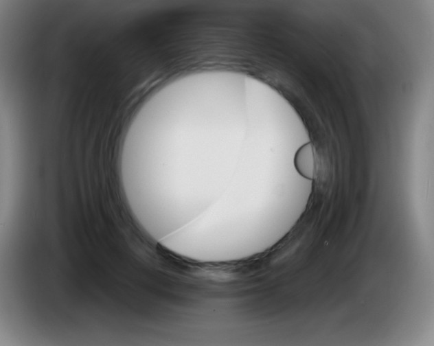 X0000085300648200703302001