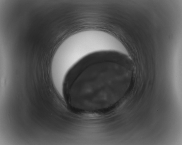 X0000085300650200703302001