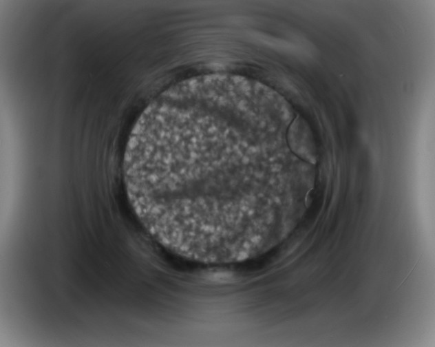 X0000085300651200703302001