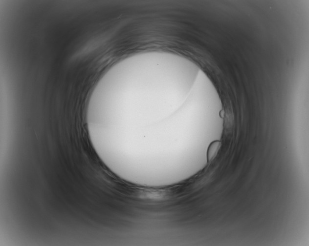 X0000085300652200703302001