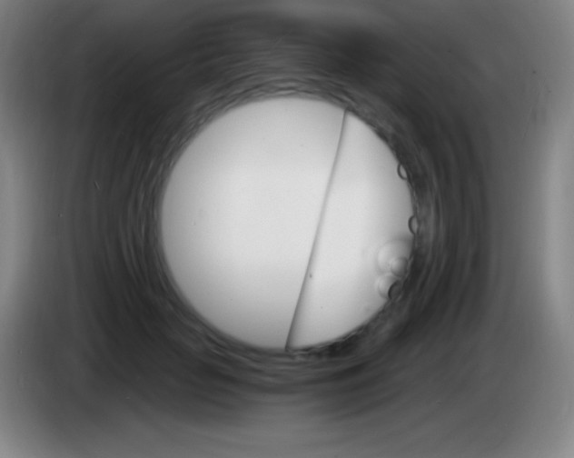 X0000085300653200703302001