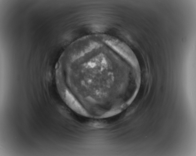X0000085300655200703302002