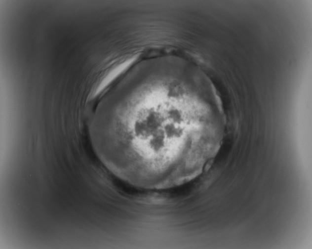 X0000085300656200703302002