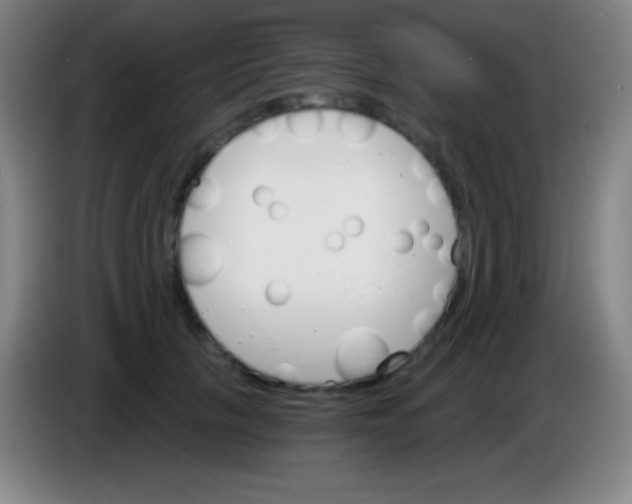 X0000085300657200703302002
