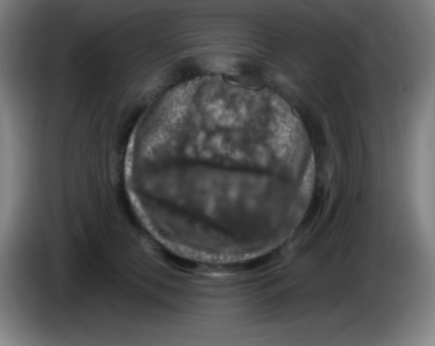X0000085300658200703302002