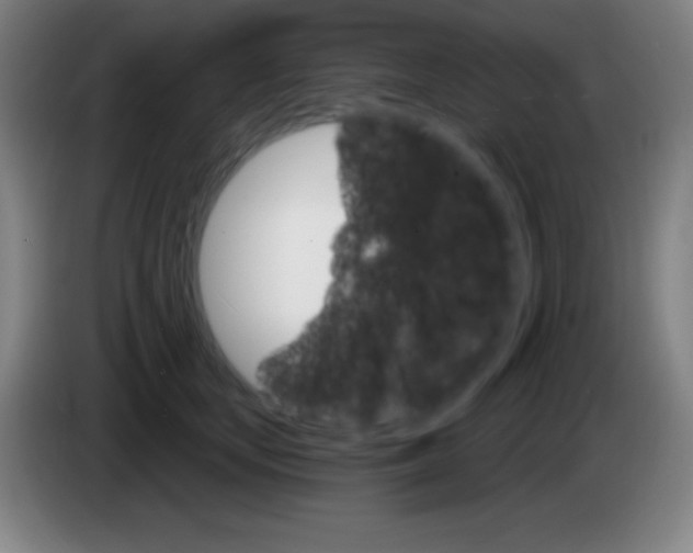 X0000085300659200703302002