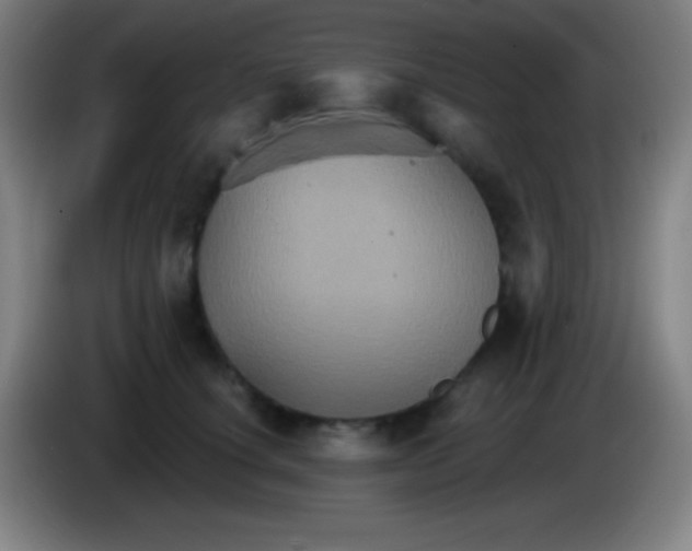 X0000085300660200703302002