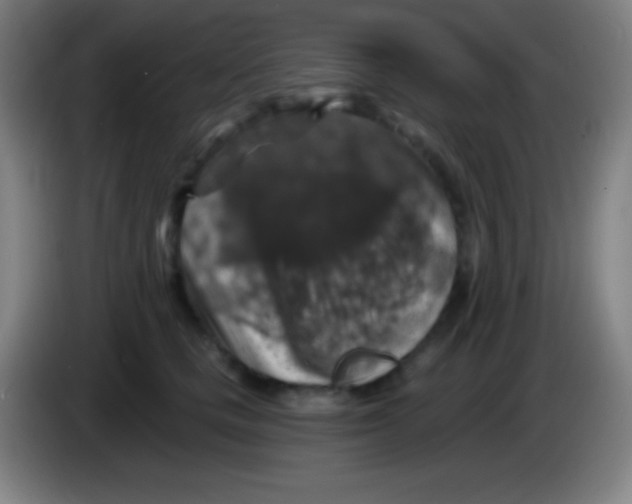X0000085300661200703302002