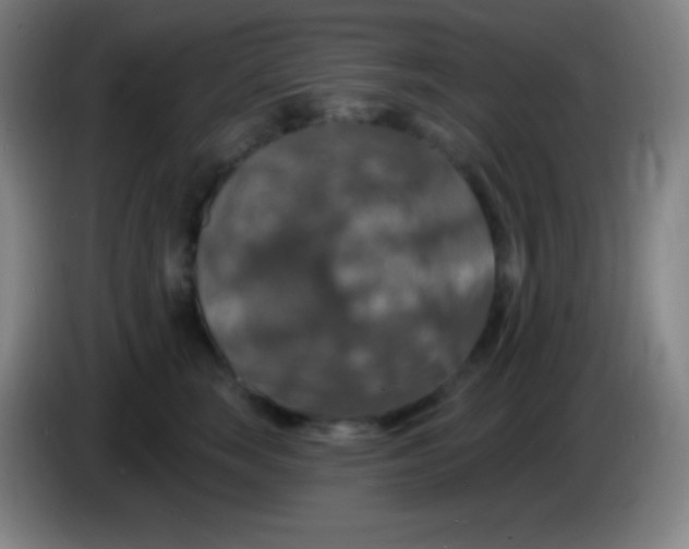 X0000085300663200703302002