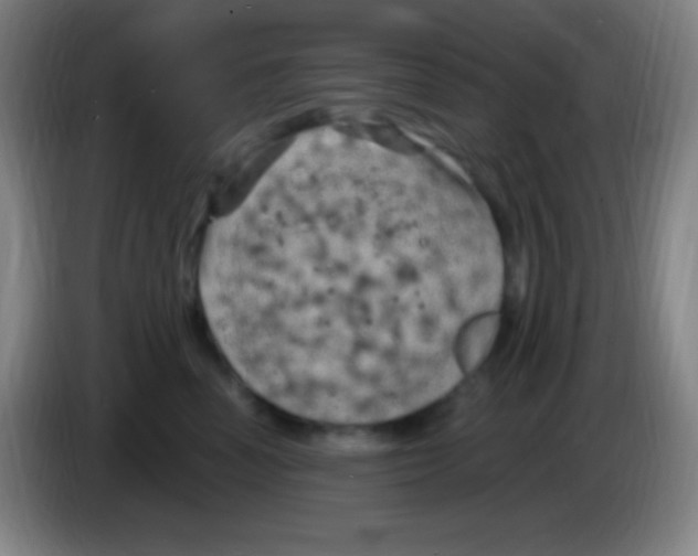 X0000085300666200703302002