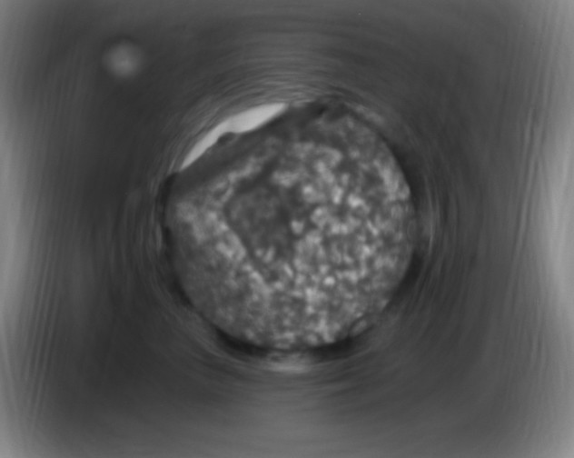 X0000085300667200703302002