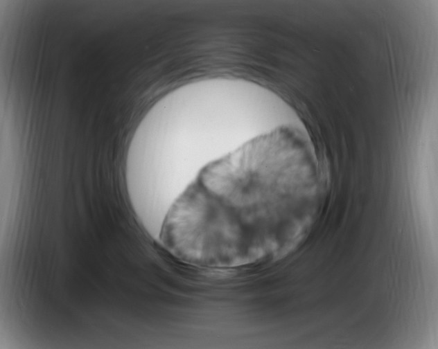 X0000085300668200703302002