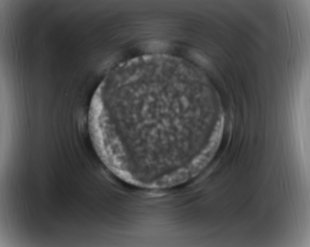 X0000085300669200703302002