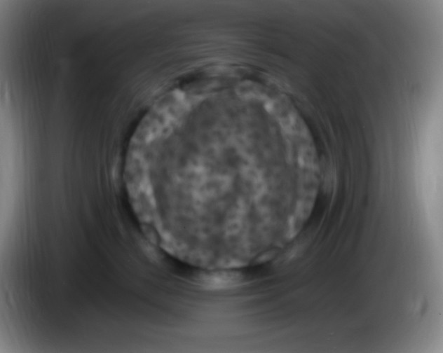 X0000085300670200703302002