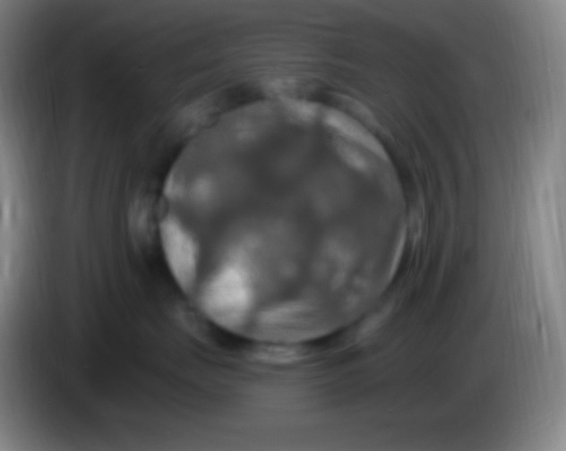 X0000085300671200703302002