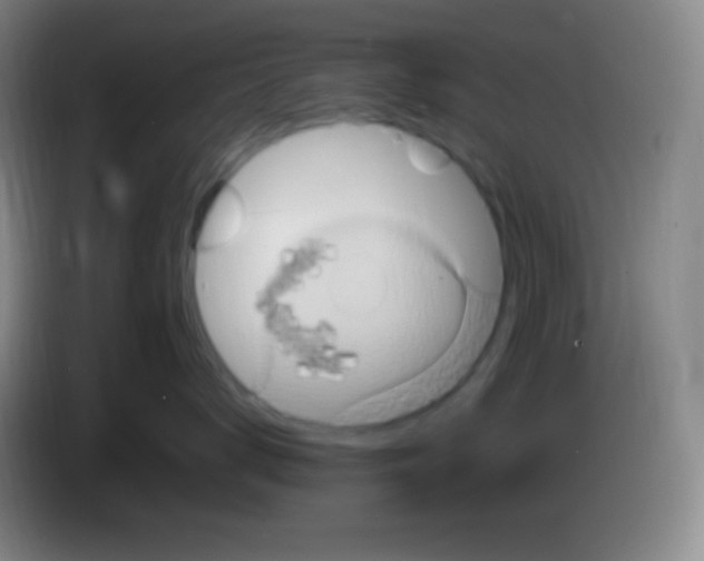 X0000085300672200703302002