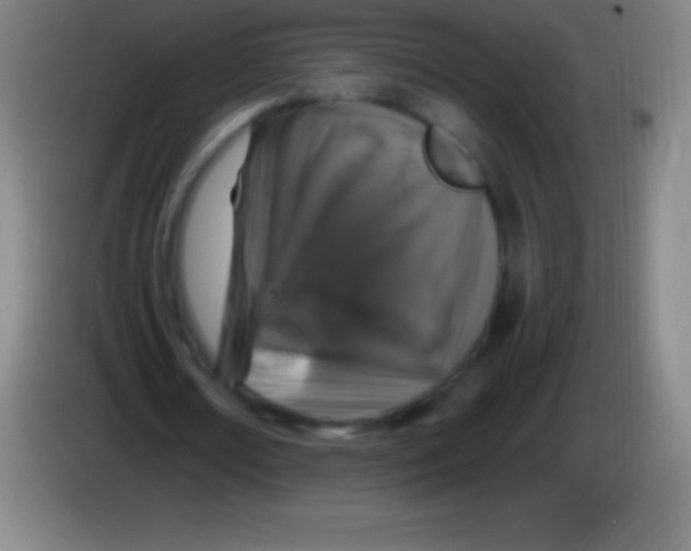 X0000085300674200703302001