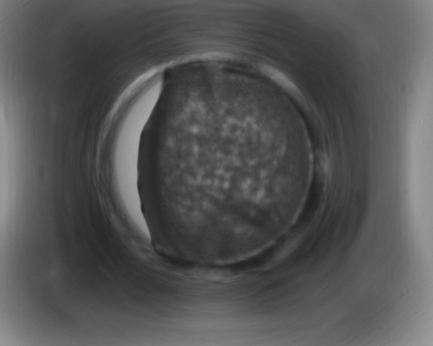 X0000085300676200703302001