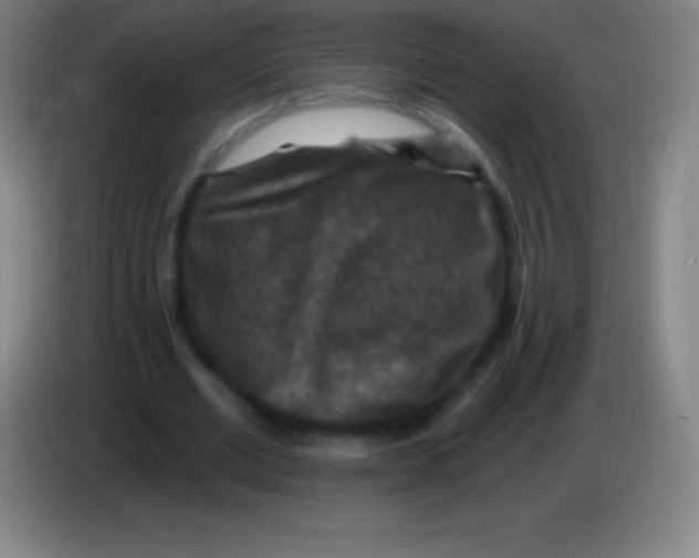 X0000085300677200703302001