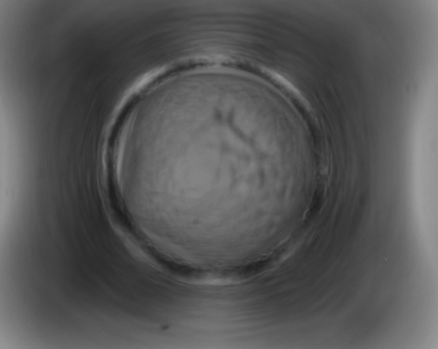 X0000085300678200703302001