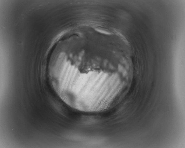 X0000085300679200703302001