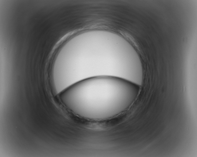 X0000085300680200703302001