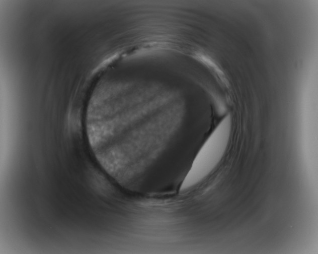 X0000085300681200703302001