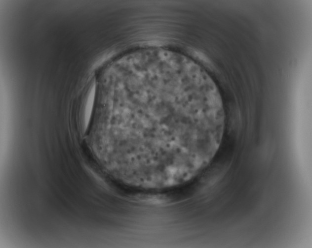X0000085300683200703302001