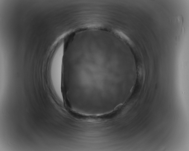 X0000085300684200703302001