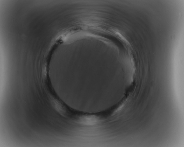 X0000085300685200703302001