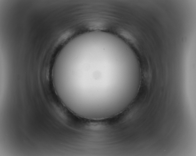 X0000085300686200703302001