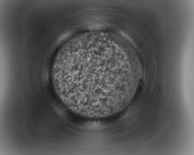 X0000085300687200703302001
