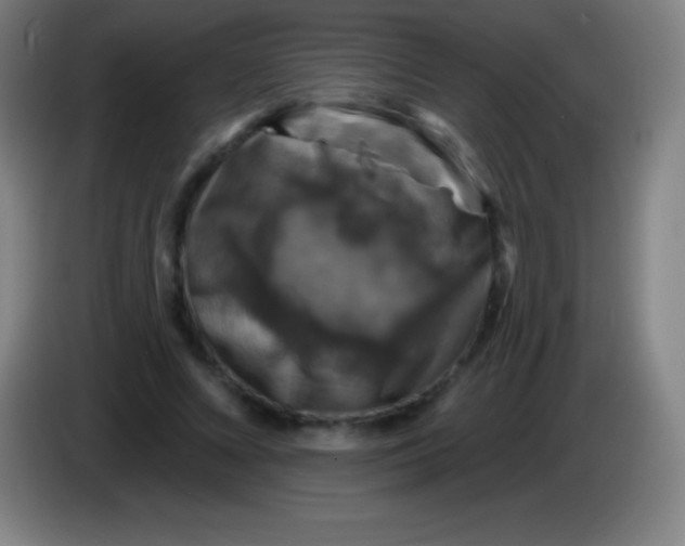 X0000085300688200703302001